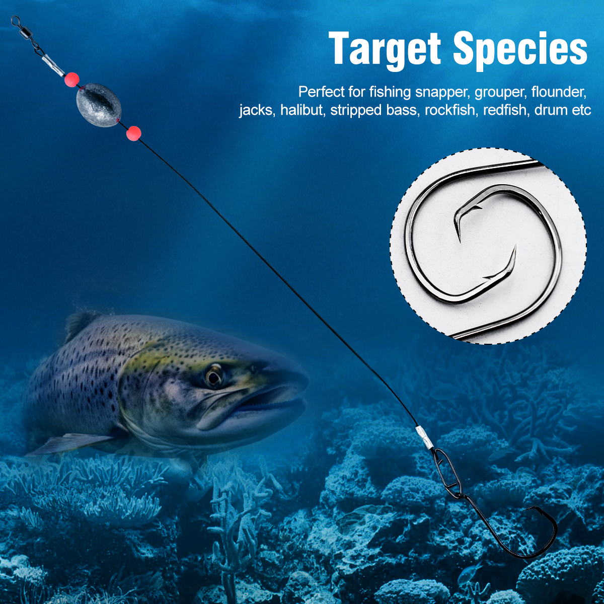 ZYZHE 2pcs Fishing Carolina Ri – обзор и цена Fishing Hook Circle